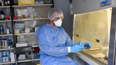 El análisis de las muestras en el Laboratorio Central de Neuquén. Foto: Florencia Salto