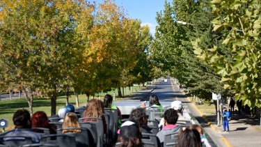 Por las calles de la ciudad.  En el colectivo que tres veces por semana conduce a los turistas gratis. Fotos Florencia Salto.