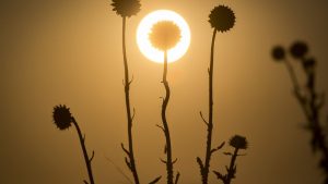 Pronóstico: así arranca abril este viernes en la región