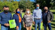 Imagen de Productores entregarán peras, manzanas, papas, cebolla, zapallo y miel a estudiantes