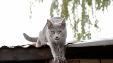 Pronóstico: ¡Así empezamos! Cómo llega el lunes a la región