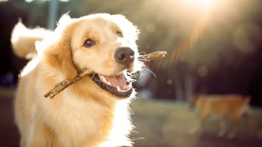 ¿Será día para tirar el palito en la plaza? ¿O lo guardamos para el finde?