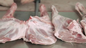 Audio receta de paletilla de cordero, queso de cabra y piñones