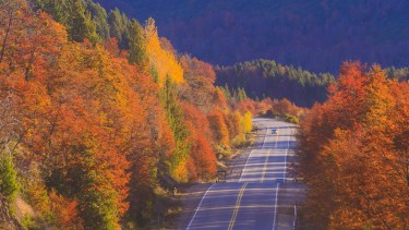 La ruta 40 en otoño. 
