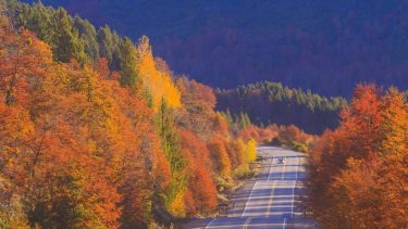 Llegó el otoño y 10 fotos de San Martín de los Andes te muestran la magia de lo que viene