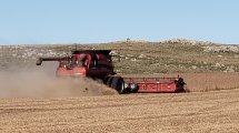 Imagen de La soja mantiene su precio alto y desde el sector creen que lo sostendrá en 2021