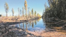 Imagen de Interminables problemas en los barrios después del temporal en Roca