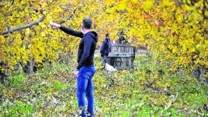 Aniversario de San Patricio del Chañar: Fruticultura y vinos de calidad