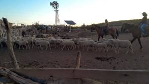 Proyectos por $ 37 millones para mejorar la calidad de vida y las condiciones productivas de campesinos de la Región Sur