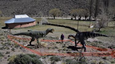 Los dinosaurios se pueden ver en cualquier entorno a través de un dispositivo móvil y Google.