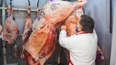 Los cortes son: asado a $549, matambre a $599, vacío a $599, tapa de asado a $499 y falda a $399 por kilo. Foto: Juan Thomes (archivo)
