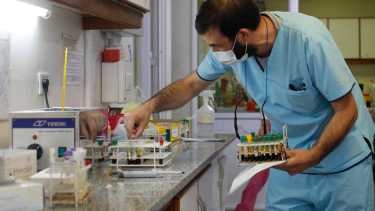 Roca registró 66 nuevos contagiados de coronavirus y sigue sumando casos activos. 