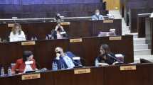 Imagen de Diputados reclamaron «medidas de fondo» y suspensión de clases en Neuquén