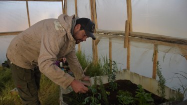 Ricardo Peña y su trabajo en la huerta.// Foto: Emiliana Cantera.
