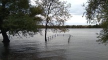 Imagen de La crecida del río Negro se hizo notar en la costa de Viedma