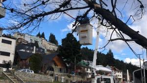 Cayeron 19 árboles en Bariloche por las fuertes ráfagas de viento