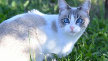 Pronóstico: mejoran las temperaturas este jueves en la región