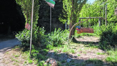 Las tierras que se reconocieron a la comunidad están en el extremo oeste de la ciudad de Bariloche. Foto: archivo