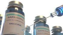 Imagen de Probarán en el país una vacuna contra el coronavirus en personas con VIH