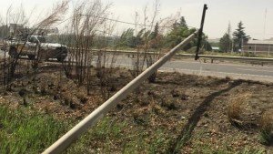 Ráfagas de viento provocaron un corte de energía en Godoy y Villa Regina
