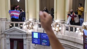 El Senado aprobó el cupo laboral travesti &#8211; trans y avanza en el debate de la zona fría