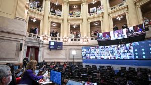 Qué dijeron y cómo votaron senadores de Neuquén y Río Negro el cupo laboral trans