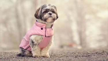 Un abrigo extra no está de más hoy, para evitar pasarla mal.-