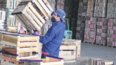 Unas 40 familias trabajan en la Cooperativa 1º de Mayo. El aserradero se dedica la fabricación de jaulas y la venta de madera para encofrado.