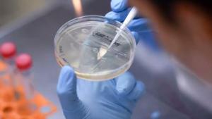 Lo que tenés que saber sobre la variante Delta del coronavirus