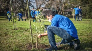 Ford ya tiene su propio bosque nativo en su planta de Pacheco