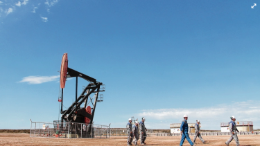 Las áreas con potencial en Vaca Muerta están ubicadas cerca del Lago Pellegrini.
