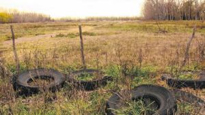 En Chichinales, trabajan en programas de tierras para urbanizar