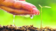 Imagen de El medio ambiente somos todos: qué podemos hacer