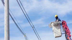 Una yegua murió por una descarga de electricidad al tocar un cerco en Cinco Saltos: la explicación de Edersa