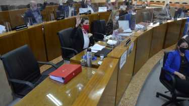 El Concejo Deliberante votó la enmienda de la Carta Orgánica Municipal (foto Yamil Regules)