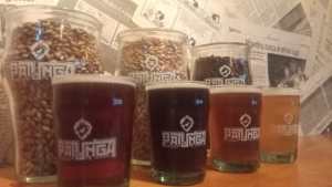 Elaboran una cerveza artesanal de Viedma con lúpulo producido en el Idevi