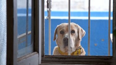 Si salís de casa, no te olvides de llevar el barbijo y un buen abrigo, porque van a hacer falta. Foto: Florencia Salto.-