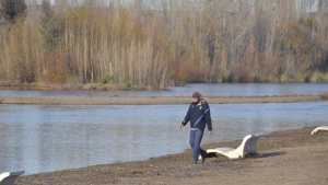 Aseguran que el aumento del caudal del río Limay no afectará a los ribereños