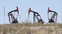 Imagen de Vaca Muerta: pronostican que este año se duplicarán las exportaciones de petróleo