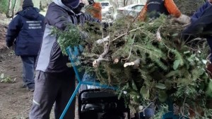 Prueban una compactadora de residuos forestales en el oeste de Bariloche