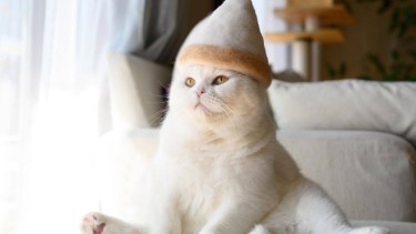 No es tiempo de soltar el abrigo, sobre todo porque vienen jornadas con heladas.-