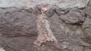 Gendarmes de El Chocón encuentran restos de dinosaurios durante un patrullaje