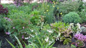 Diseñar el jardín: cómo pensarlo desde el inicio
