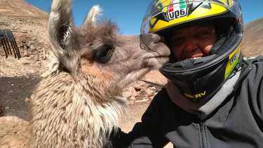 Un recuerdo inolvidable. La llama que le dio la bienvenida en los caminos de Salta. Foto: Por la Tierra y el Mar. 