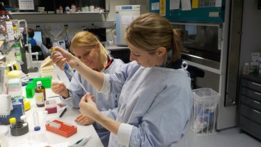 Mirada. Según la doctora Alejandra Capozzo es necesario aumentar la vigilancia sobre enfermedades de los animales porque pueden ser fuente de patógenos que afectan a la salud humana.
