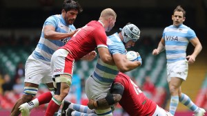 Los Pumas vencieron a Gales en el cierre de la gira por Europa