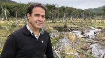 Imagen de Con donaciones, buscan salvar a un bosque con araucarias