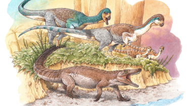 El hallazgo es de un reptil prehistórico, ancestro de los cocodrilos modernos que habitó la Patagonia hace aproximadamente 148 millones de años.
Ilustración: Gabriel Lio
