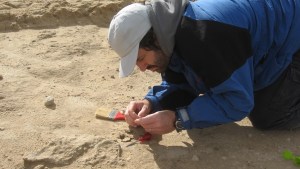 Miramar: hallan fósil de un verdadero vampiro gigante de unos 100 mil años