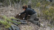 Imagen de El potencial de las especies forestales nativas en los bosques patagónicos